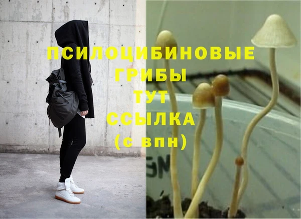 мяу мяу кристалл Богородицк