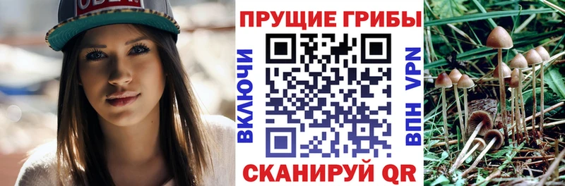 Галлюциногенные грибы мухоморы  продажа наркотиков  Мариинский Посад 